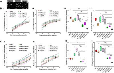 Diethyldithiocarbamate-ferrous oxide nanoparticles inhibit human and mouse glioblastoma stemness: aldehyde dehydrogenase 1A1 suppression and ferroptosis induction